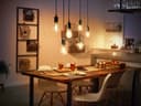Philips Hue LED-Filament White Edison ST64 | Holztöne 5
