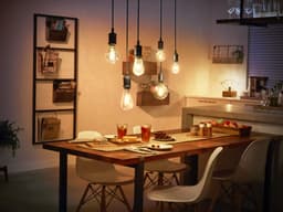 Philips Hue LED-Filament White Edison ST64 | Holztöne