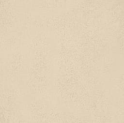 Irisette Wohndecke Relax 8900 | Beige