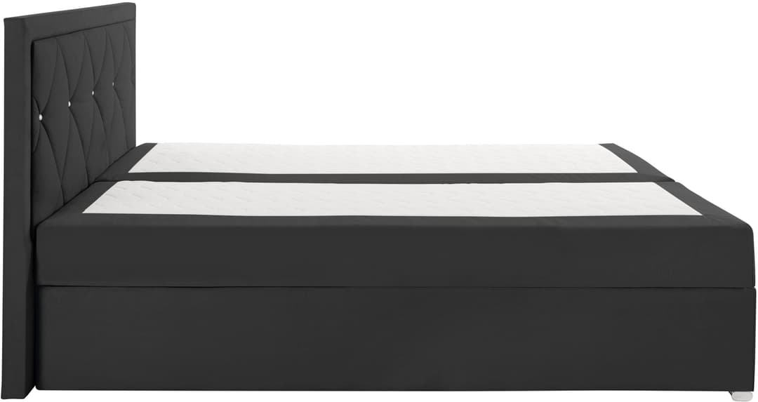 Home affaire Boxbett Alfie | Schwarz