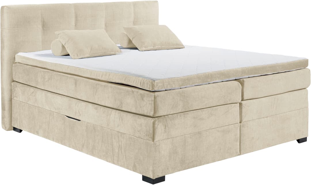 ED EXCITING DESIGN Boxspringbett Fanes | Beige