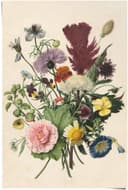 Reinders! Poster Blumenstrauß Stilleben | Mehrfarbig