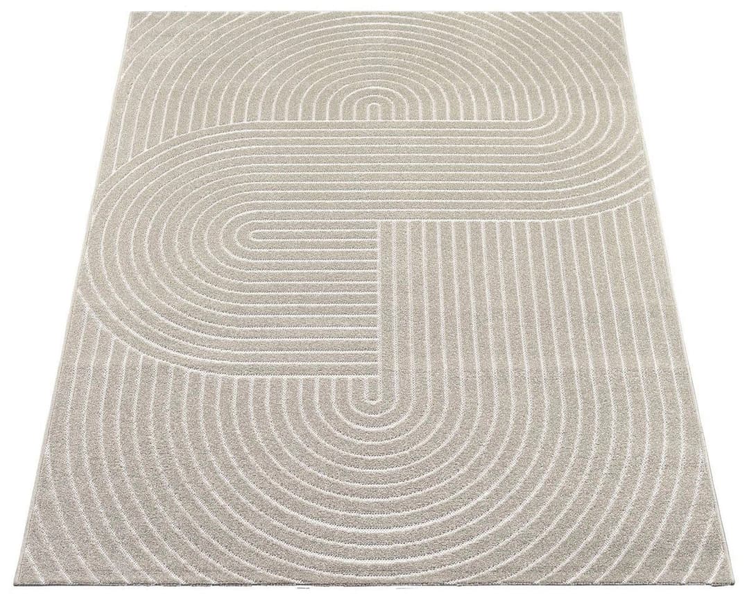 the carpet Teppich Santo Plus | Beige