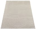 the carpet Teppich Santo Plus | Beige 2