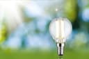 Paulmann LED-Leuchtmittel Eco-Line Tropfen | Transparent 2