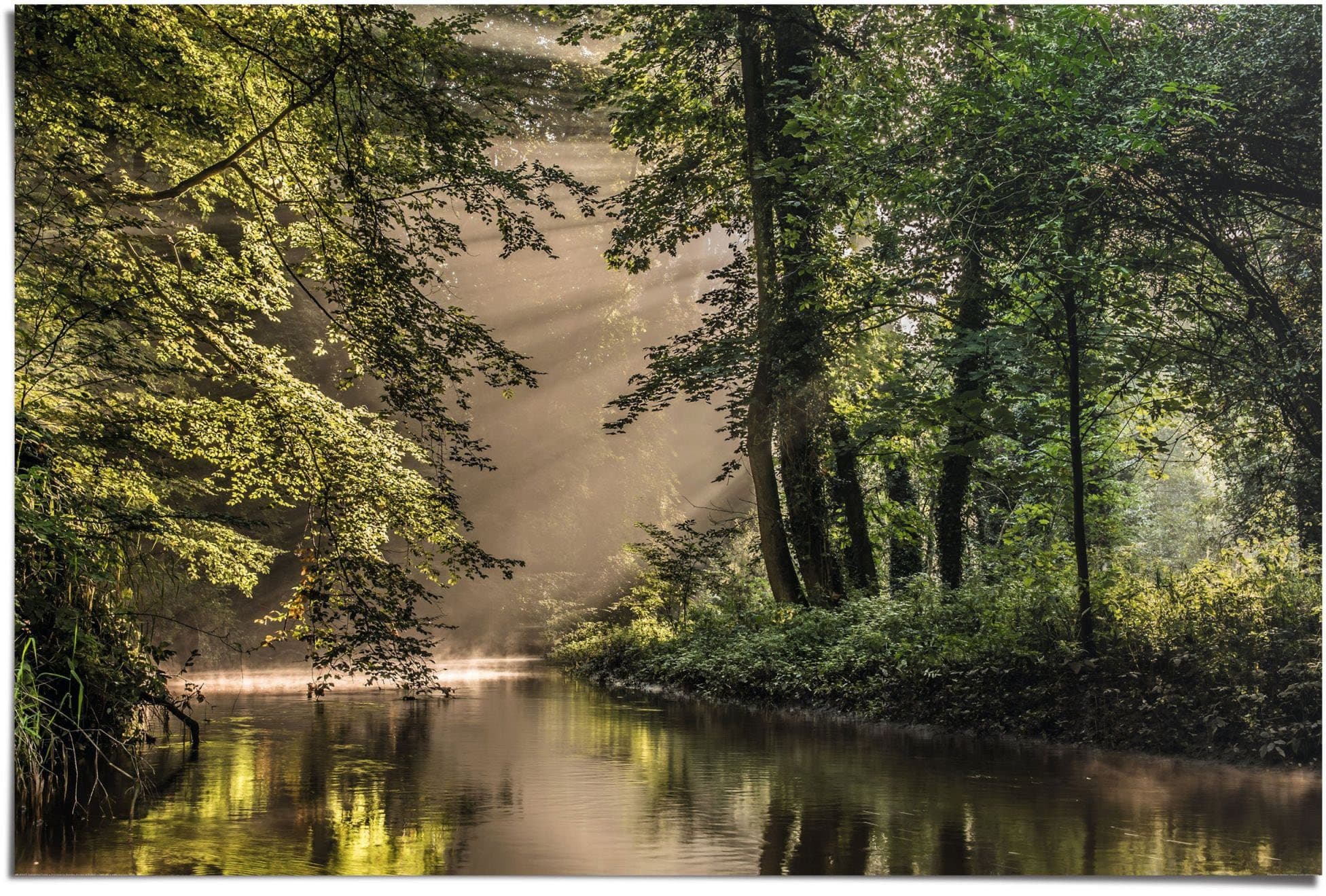 Reinders! Poster Lichtspiel am Waldsee | Grün
