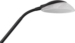Reality Leuchten Orson LED Stehlampe | Schwarz