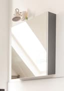 Home affaire Spiegelschrank Wisla | Grau 3