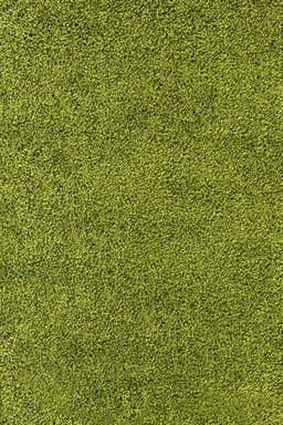 Ayyildiz Teppiche Life Shaggy 1500 | Grün