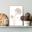 Reinders! Poster Trockenblumen | Beige 3