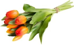 Kunstblume Willa Tulpe | Mehrfarbig