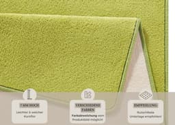HANSE Home Teppich Fancy | Grün