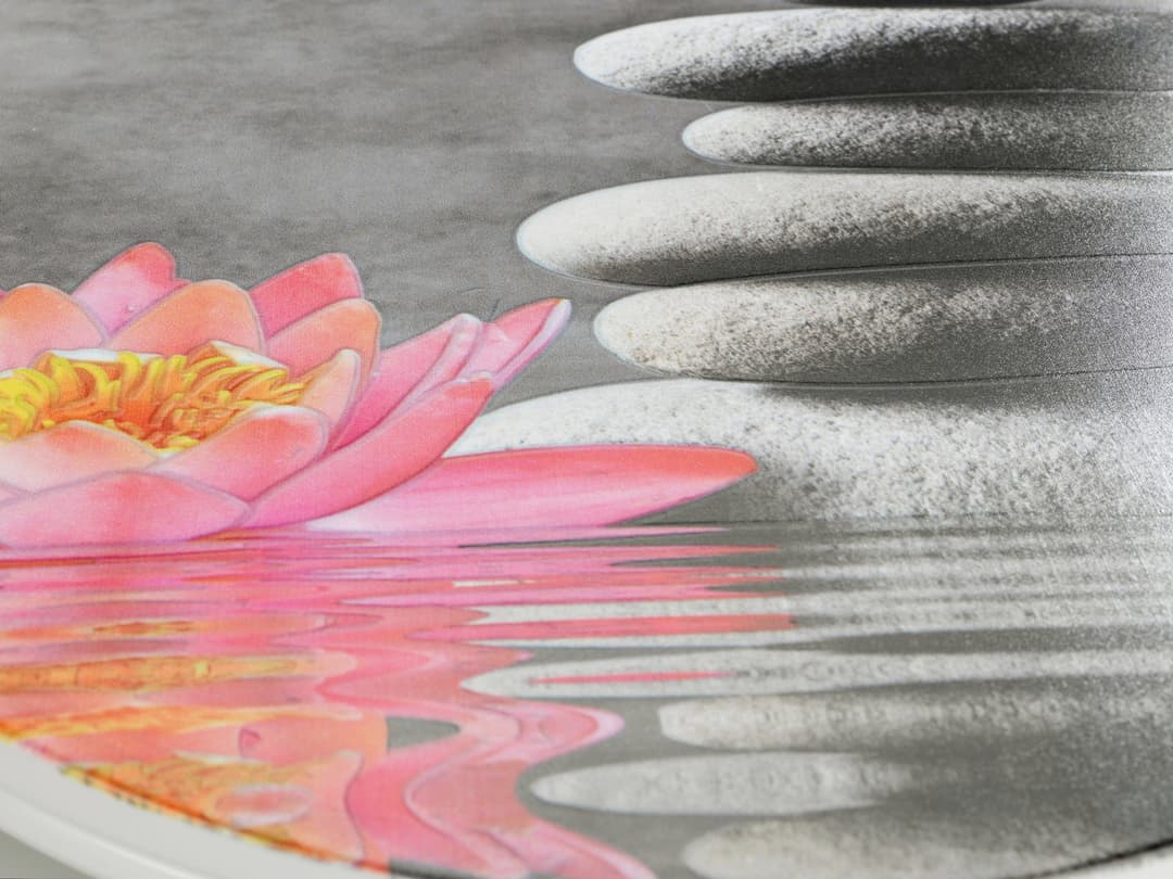 WENKO WC-Sitz Water Lily mit Relief | Mehrfarbig