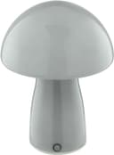 Brilliant LED Tischleuchte Erik | Grau 4