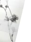 Doppelrollo MINNA | Grau 4