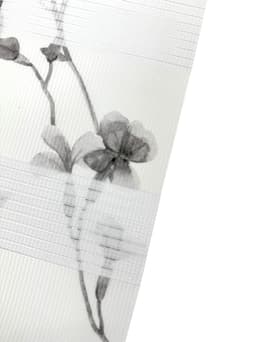 Doppelrollo MINNA | Grau