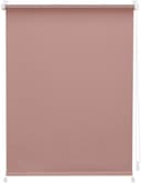 Seitenzugrollo Uni Rollo | Rosa 3