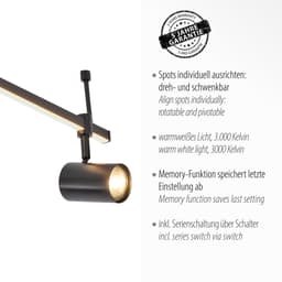 Paul Neuhaus Deckenleuchte BARIK | Schwarz
