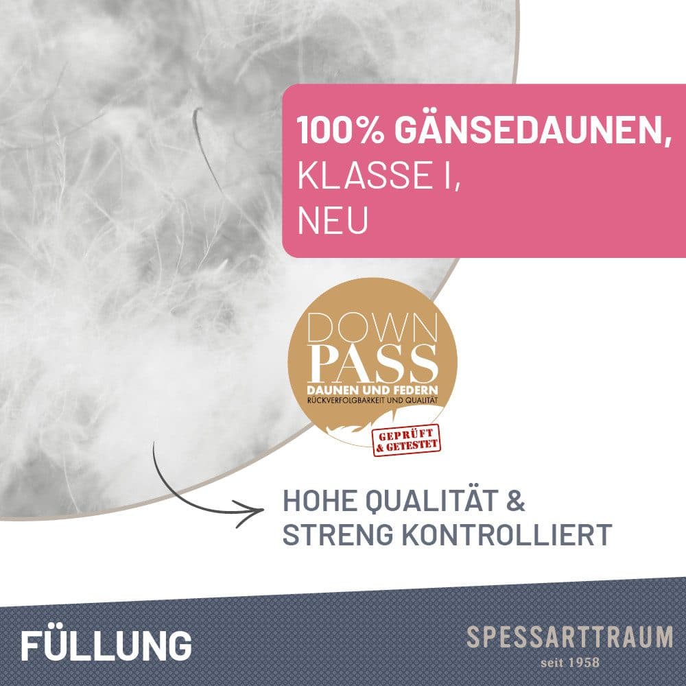 SPESSARTTRAUM Gänsedaunenbettdecke Premium**** | Weiß