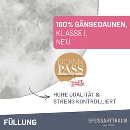 SPESSARTTRAUM Gänsedaunenbettdecke Premium**** | Weiß