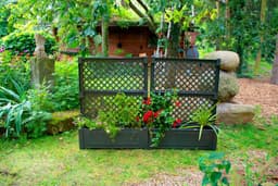 KHW Spalier, 2 St., 2er-Set Pflanzkasten groß 100 cm mit | Schwarz