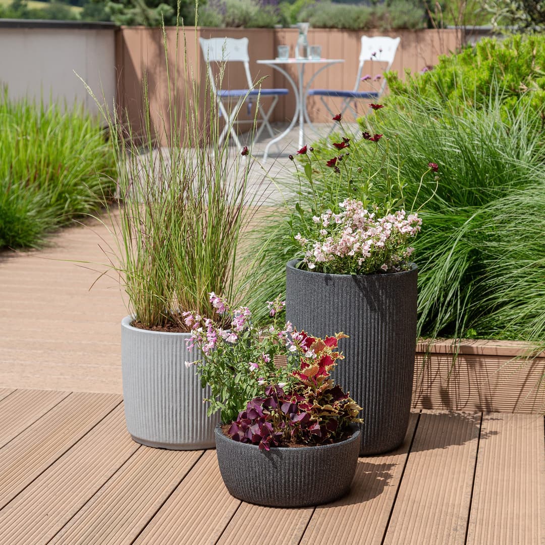 Scheurich LINETTO BOWL Pflanzschale | Grau