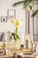 LEONARDO Windlicht MARTELLO 21 cm | Transparent 2
