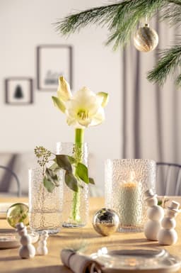 LEONARDO Windlicht MARTELLO 21 cm | Transparent
