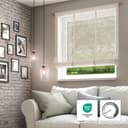 Neutex for you! Raffrollo Libre-ECO | Braun 4