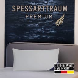 SPESSARTTRAUM Gänsefederkopfkissen Premium | Weiß