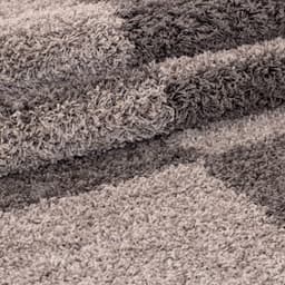 Ayyildiz Teppiche Hochflor-Teppich Gala Shaggy 2505 | Braun