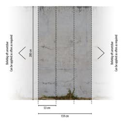 living walls Fototapete Betonwand | Grau