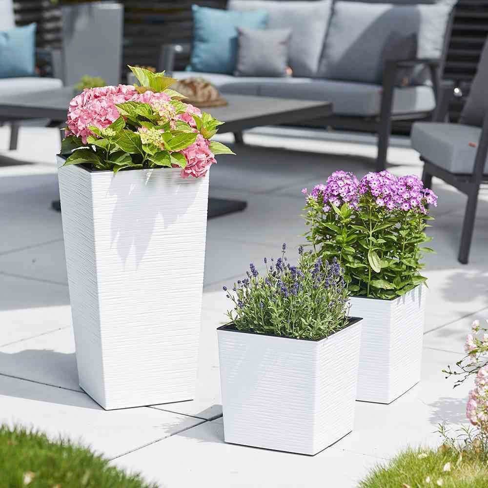 Siena Garden Pflanzkübel | Weiß