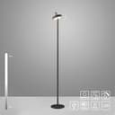 JUST LIGHT Stehlampe AMAG | Schwarz 2