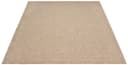 the carpet Teppich Kansas | Beige 3