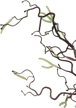 Korkenzieherzweig Künstlicher Dekozweig | Braun
