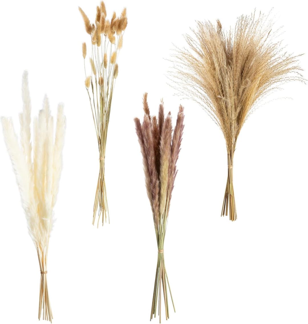 GILDE Dekoobjekt Bündel Trockenblume Seco | Beige