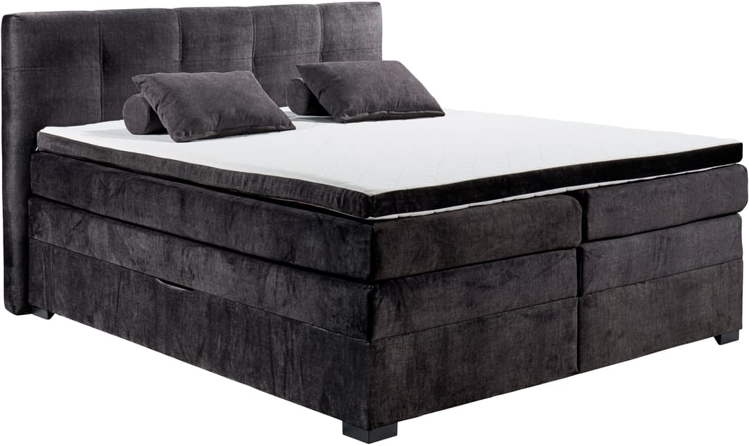 ED EXCITING DESIGN Boxspringbett Fanes | Braun