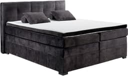 ED EXCITING DESIGN Boxspringbett Fanes | Braun