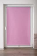 Springrollo Anna | Rosa 5