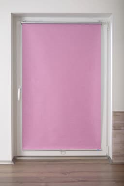 Springrollo Anna | Rosa