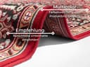 HANSE Home Teppich Skazar Isfahan | Rot 4