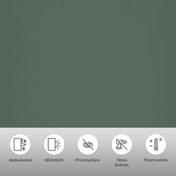 Seitenzugrollo THEMSE | Grün