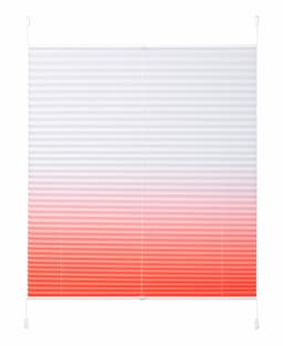 my home Plissee Ombré | Mehrfarbig