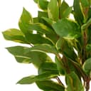 Kunstpflanze Epipremnum aureum | Grün 2