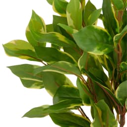 Kunstpflanze Epipremnum aureum | Grün