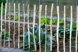 Dobar Staketenzaun | Holztöne