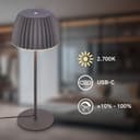 Briloner Leuchten LED Tischleuchte LOCA 7625015 | Schwarz 3