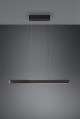 TRIO Leuchten LED Pendelleuchte HELIOS | Schwarz