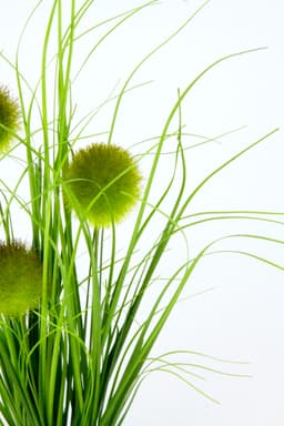 Kunstgras Künstliches Gras 'Knopfgras' | Grün